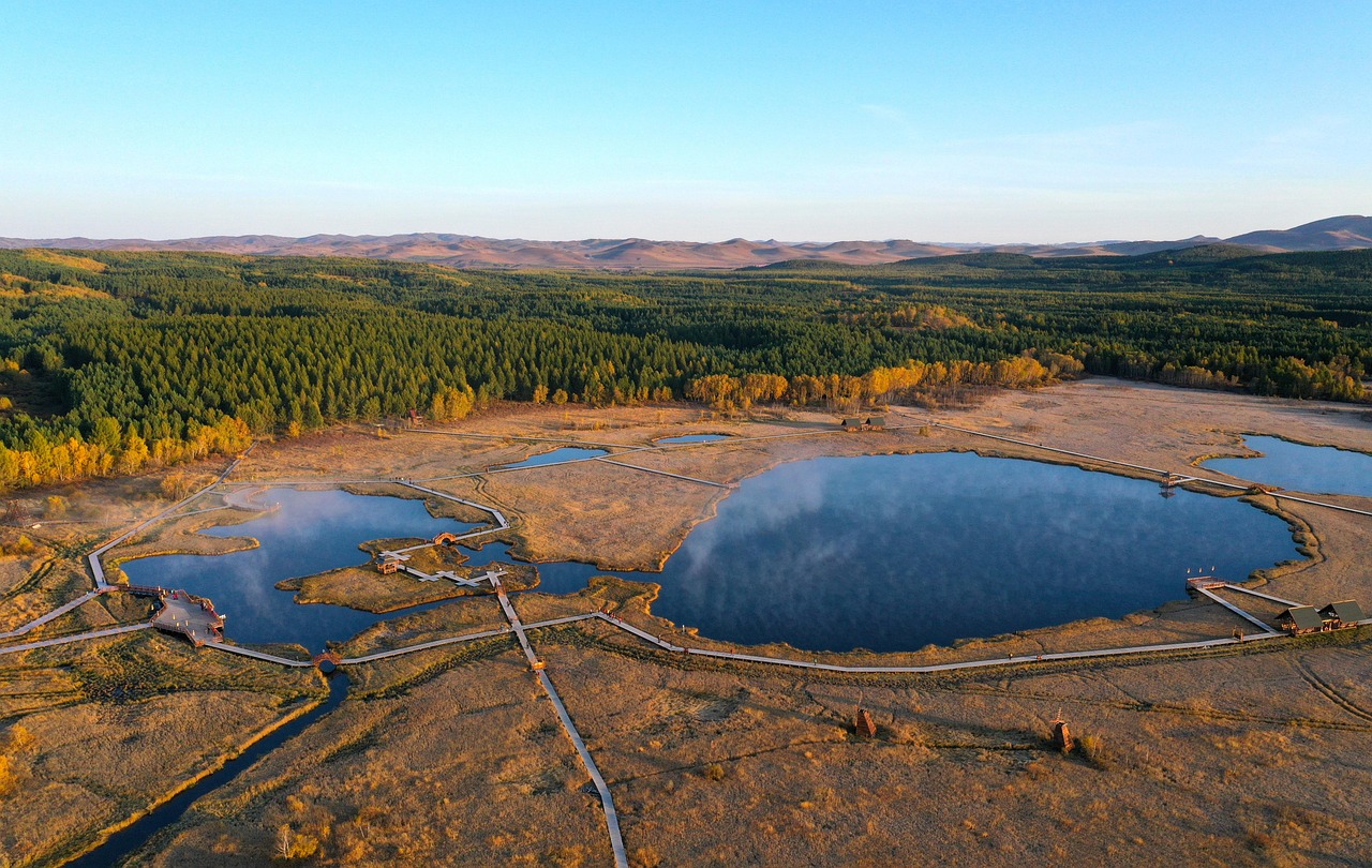 連休に子連れで楽しめる森林公園の穴場は？