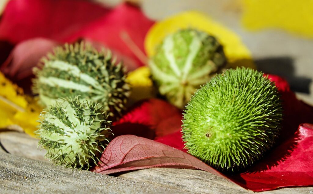 連休に家族と静かに過ごせる温泉宿はどこですか？