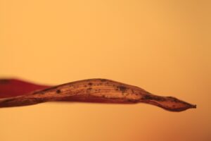 関東で子連れにぴったりの穴場スポットはどこ？