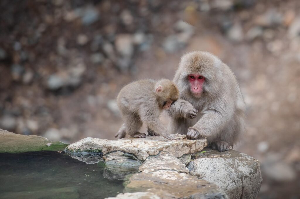 赤ちゃん連れに最適な温泉の穴場はどこ？