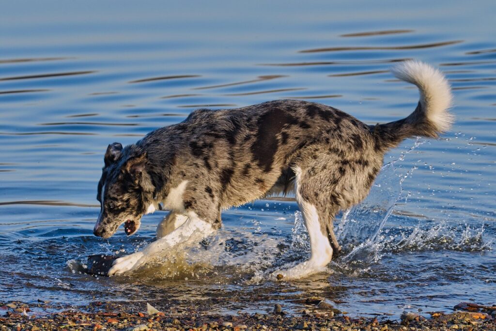 連休に子連れで楽しめる川遊びの穴場スポットは？