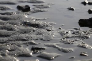 連休に子連れで行くべき海水浴場の穴場は？