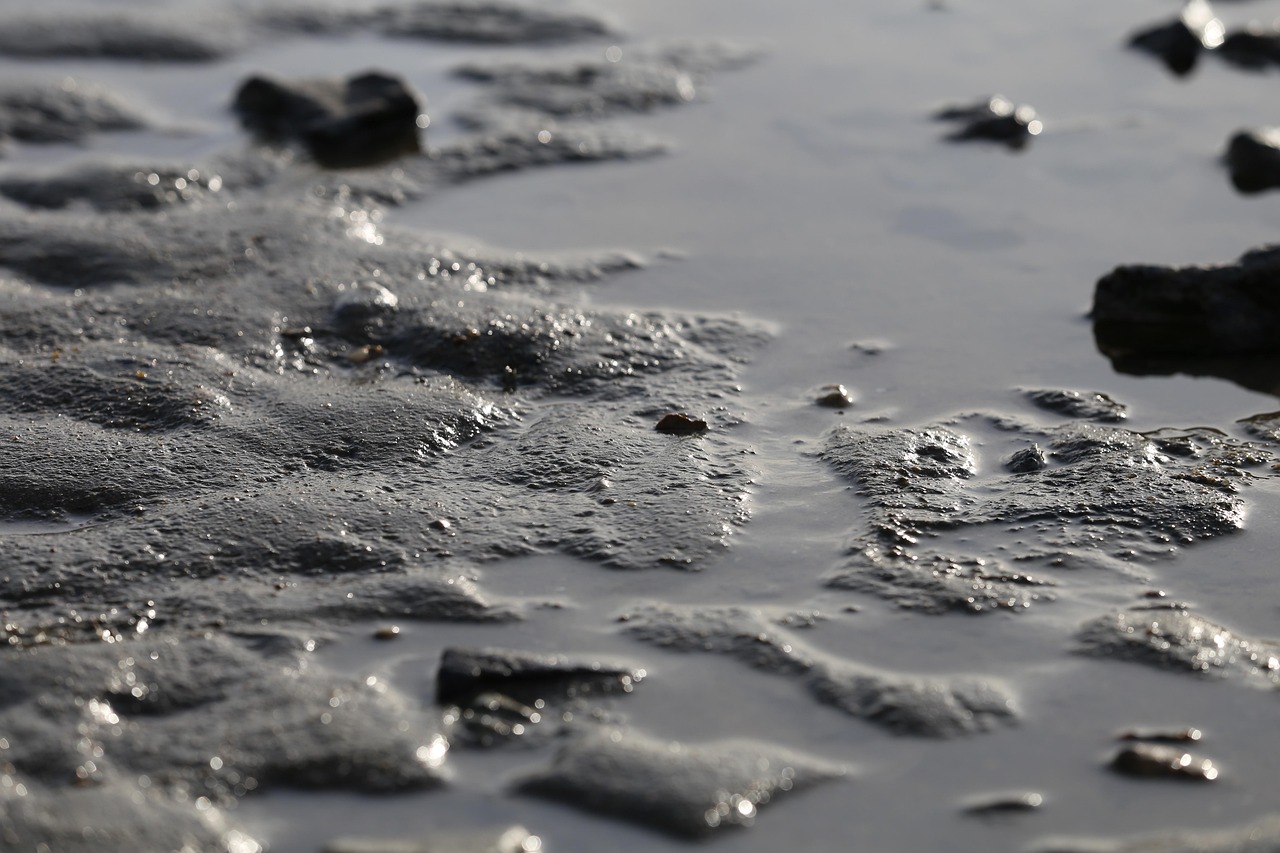 連休に子連れで行くべき海水浴場の穴場は？