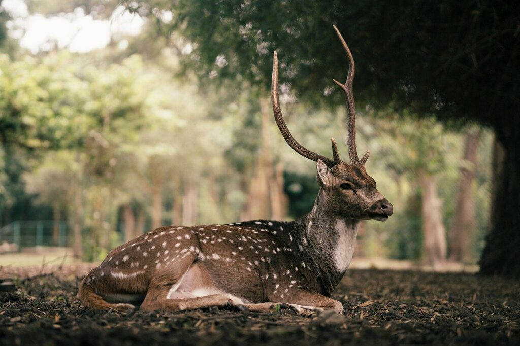 GWにおすすめの静かな宿泊先はどこですか？