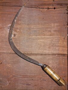 お盆におすすめの穴場で楽しむ森林散策とは？