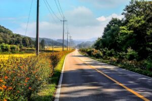 三連休に家族で楽しめる旅行の穴場スポットは？