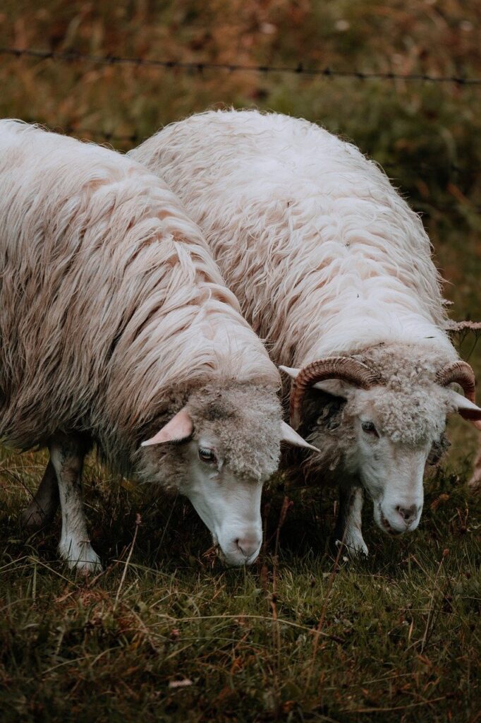 連休に訪れたい穴場の美しい村旅行はどこ？