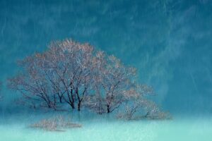 連休におすすめの穴場で湖畔散策を楽しむ方法は？