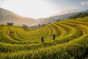 連休に訪れたい穴場の絶景テラスはどこ？
