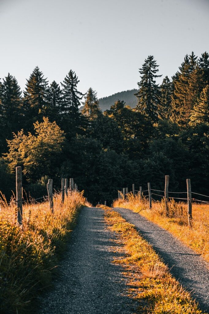 連休に訪れたい静かな穴場デートスポットは？