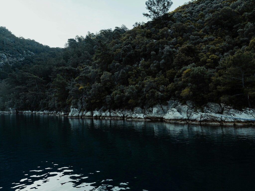 静かな旅館で過ごす連休のおすすめプランは？