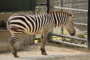 福岡でゴールデンウィークにデートにぴったりな自然を楽しめるスポットは？