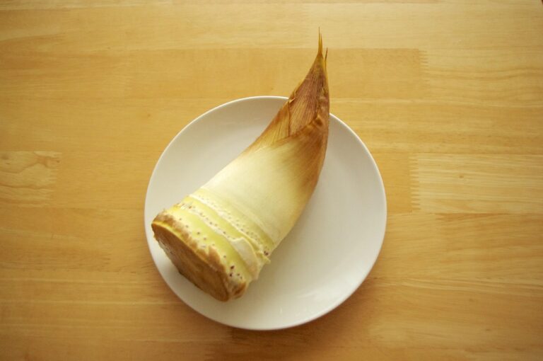 九州の春にデートでゆっくりできる穴場はどこ？