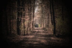 連休におすすめの大人向け静かな宿はどこですか？