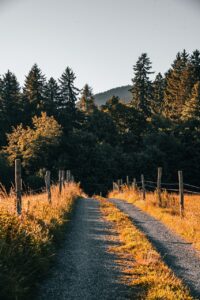 連休に訪れたい静かな森カフェの場所は？