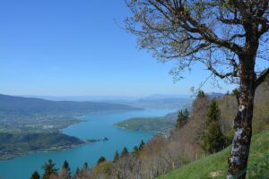 連休におすすめの穴場で楽しむ自然散策は？