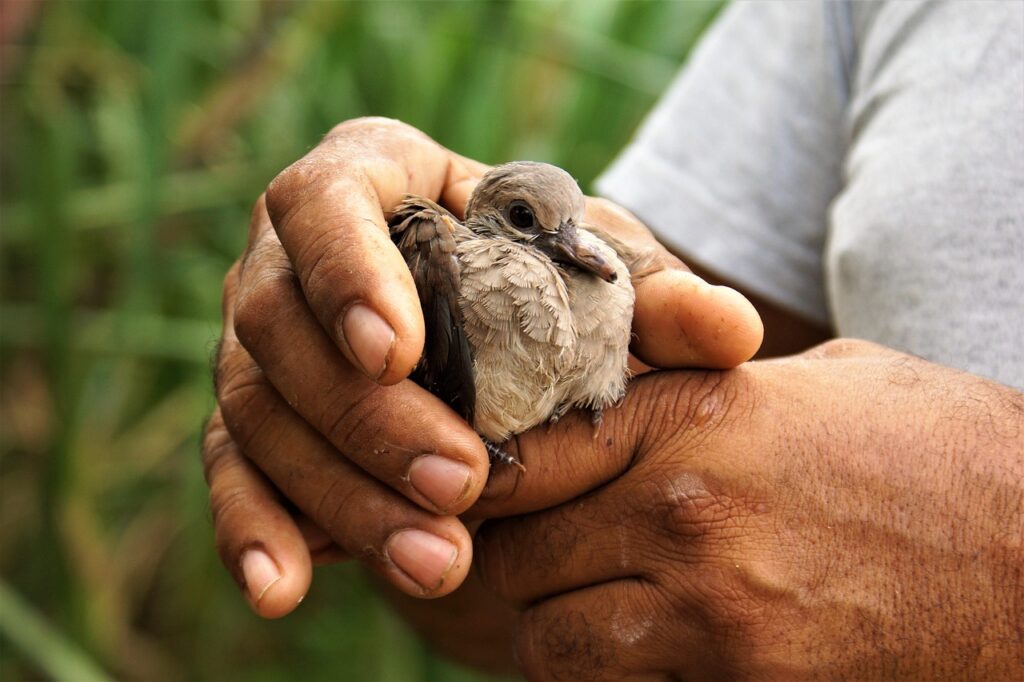 連休にゆったり楽しむ自然旅行のおすすめプランは？