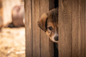 連休に混雑しない一人旅のおすすめ旅行先は？