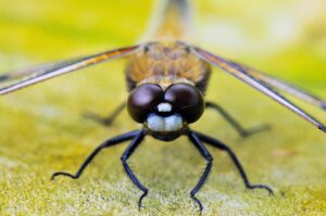 連休に行くべき穴場スポットと穴場デートスポットは？