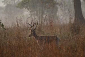 連休にカップルで訪れる静かな観光地はどこ？