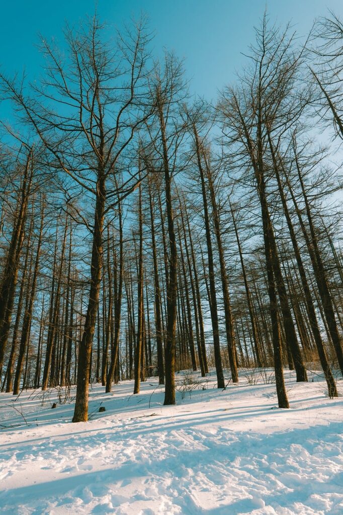 連休に予約できる静かなレストランはどこにある？
