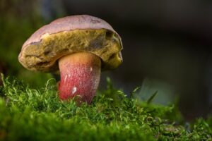 連休に食べ歩きするなら混まない場所はどこ？